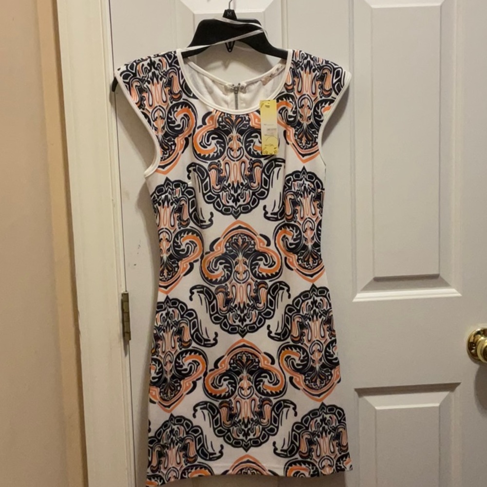 Fitted dress w/ zipper in the back (brand new with tags)